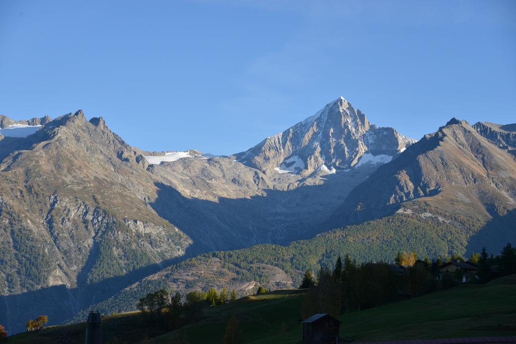 Hotel-Restaurant Ronalp Bürchen Eksteriør bilde